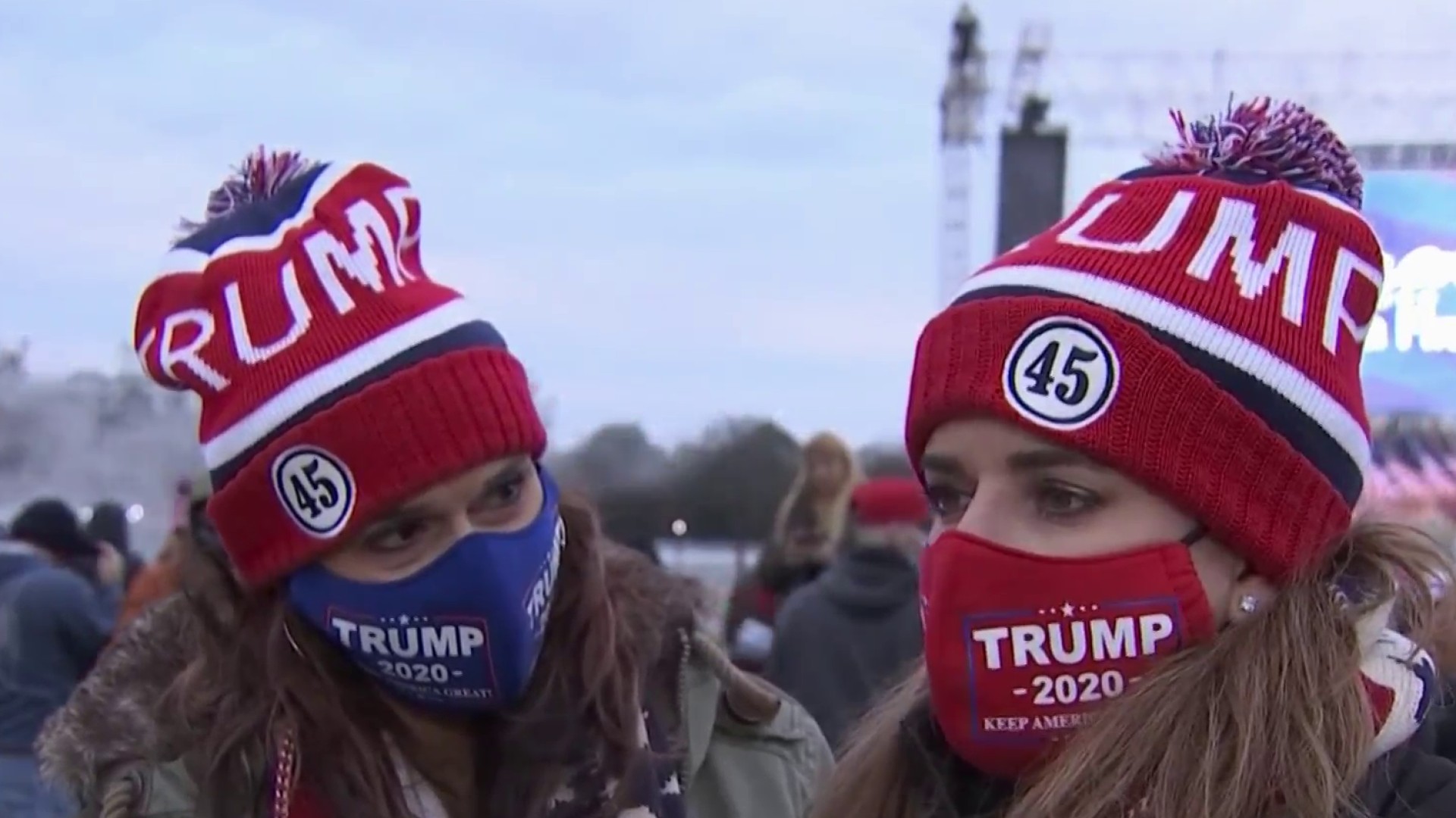 Trump's Supporters Flock to National Mall, Protest Election Results