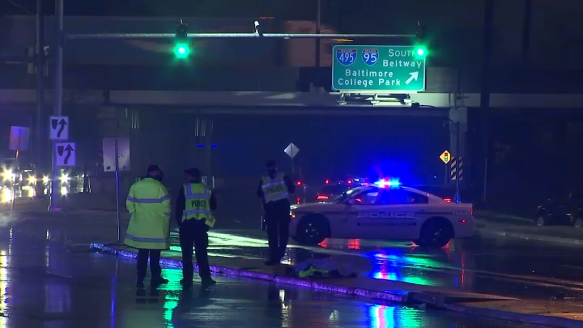 Man Killed in Hillandale Hit-and-Run, Police Search for Victim's Family Members - Vimarsana News