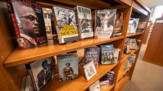 Black history month display