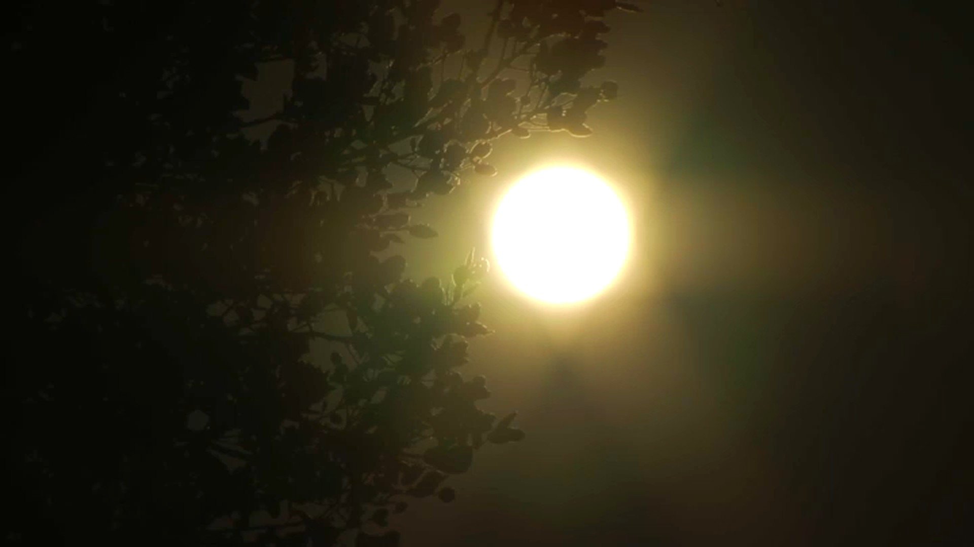 Thursday Was the Hottest Day on Earth in Recorded History, Model Shows - Vimarsana News