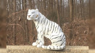 White tiger statue