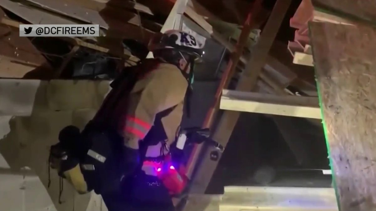 Building Under Construction Collapses in Northeast DC – NBC4 Washington