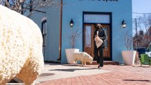 Vice President Kamala Harris leaves the store, Fibre Space, after a conversation with its owner and employees about COVID-19's impact on small business, at the shop in Alexandria, Va., Wednesday, March 3, 2021.