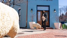 Vice President Kamala Harris leaves the store, Fibre Space, after a conversation with its owner and employees about COVID-19's impact on small business, at the shop in Alexandria, Va., Wednesday, March 3, 2021.