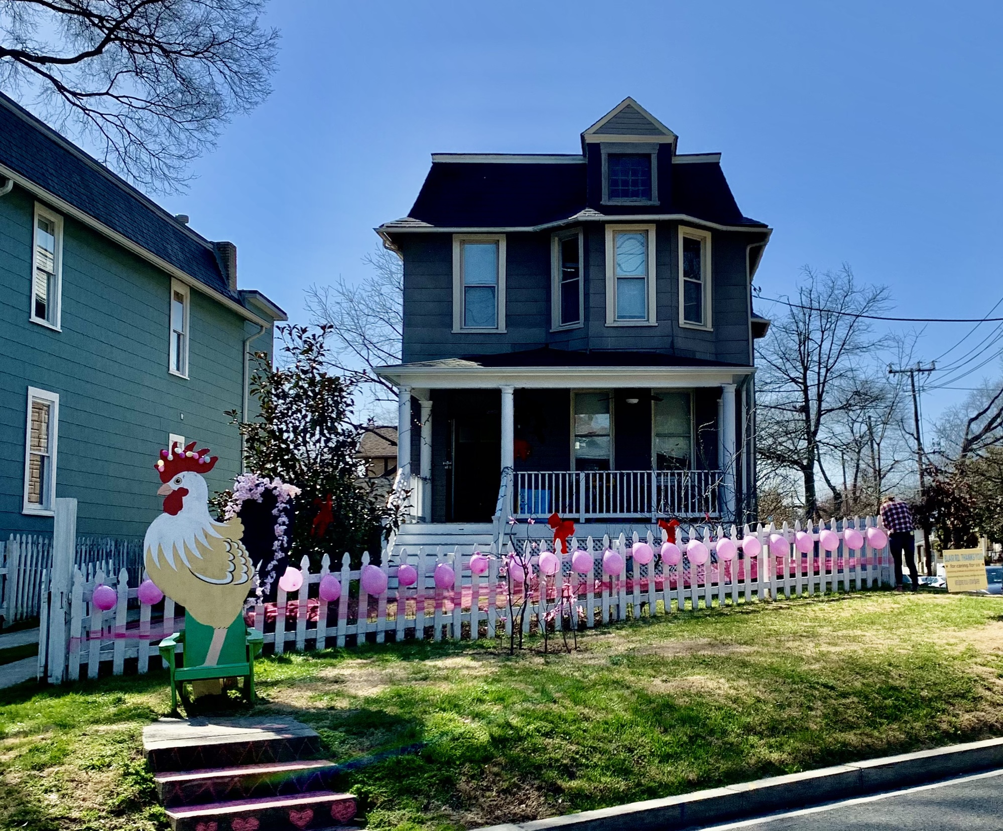 Photos Washington DC Porches Decorated for Cherry Blossoms 2021 NBC4