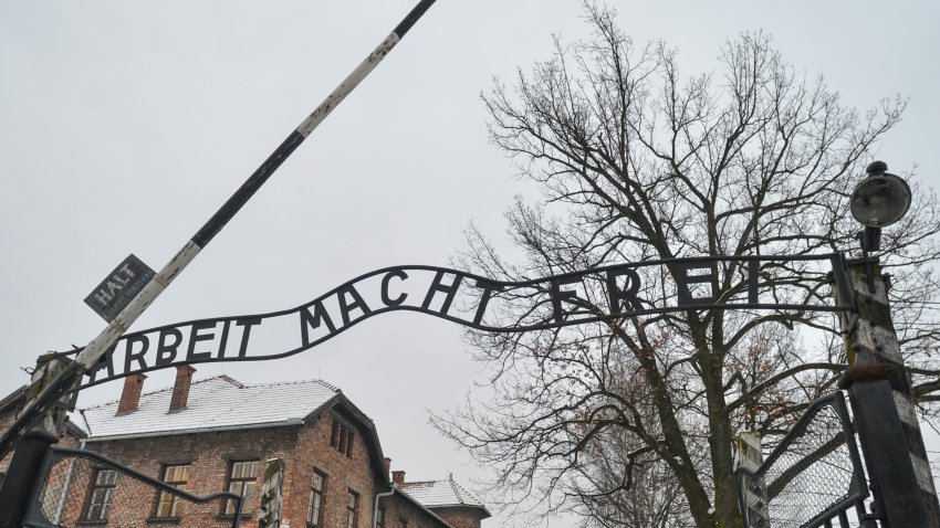 Auschwitz Survivor Shared Her Bread, and it Saved Her Life