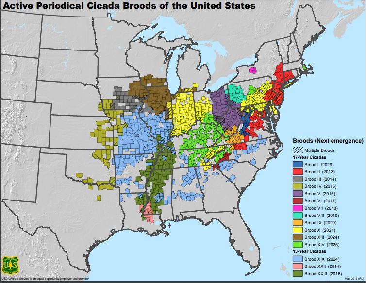 Brood x cicada map