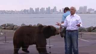 Gubernatorial Candidate John Cox and Tag the Bear