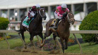 Preakness Stakes Horse Race