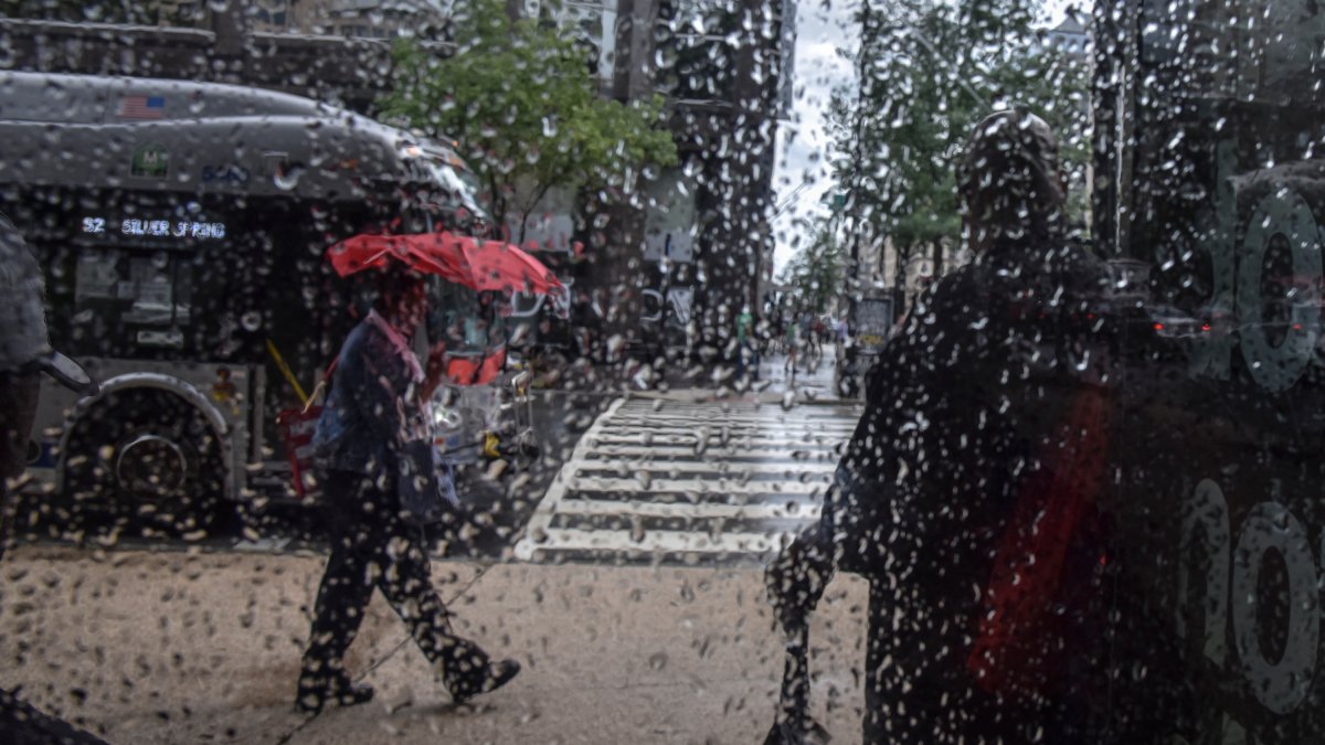 Washington DC Weather: Rain Today, Storm Saturday in DC, Md. Va. – NBC4 Washington - Vimarsana News