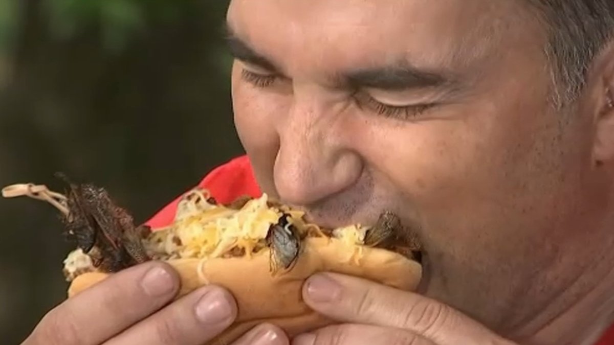 What Do Cicadas Taste Like? Doug Kammerer Eats Gourmet Brood X Meal ...