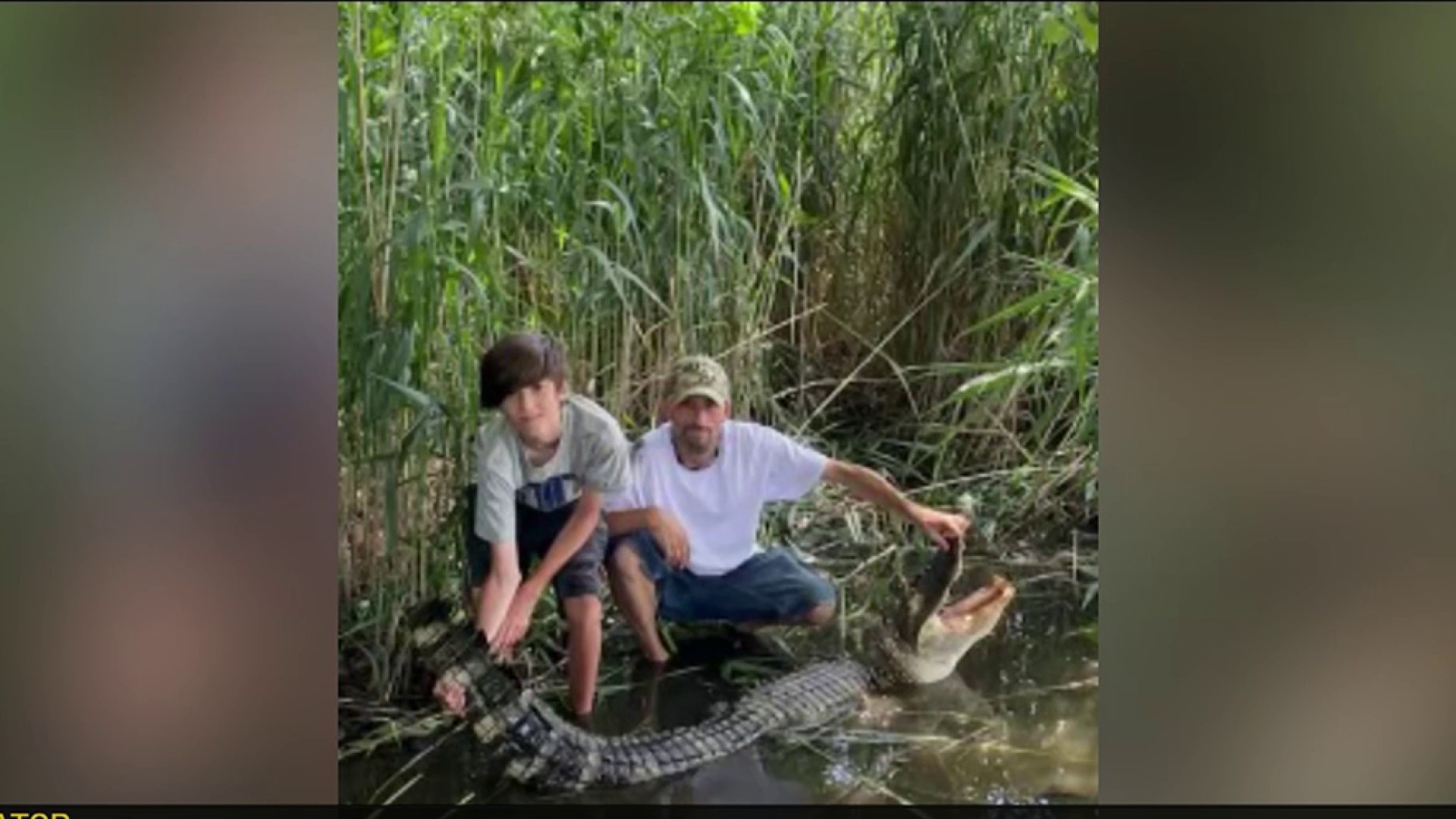 Maryland Man Catches 7.5 Foot Alligator Near Chesapeake Bay
