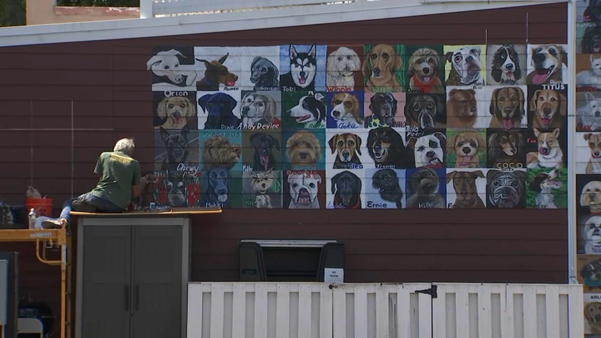 Del Ray Mural Goes to the Dogs – NBC4 Washington