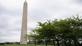 A person sitting under a group of trees near the Washington Monument in Washington May 3.