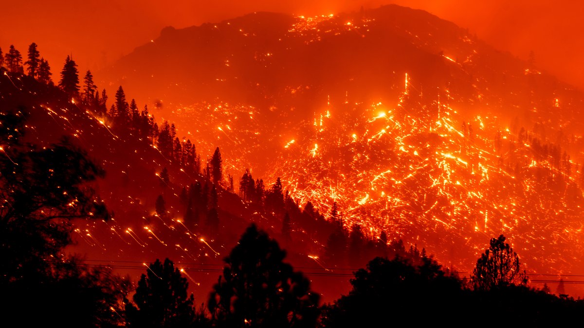 Calif. Wildfires Are Setting Records, and More Damage Is Expected – NBC4 Washington - Vimarsana News
