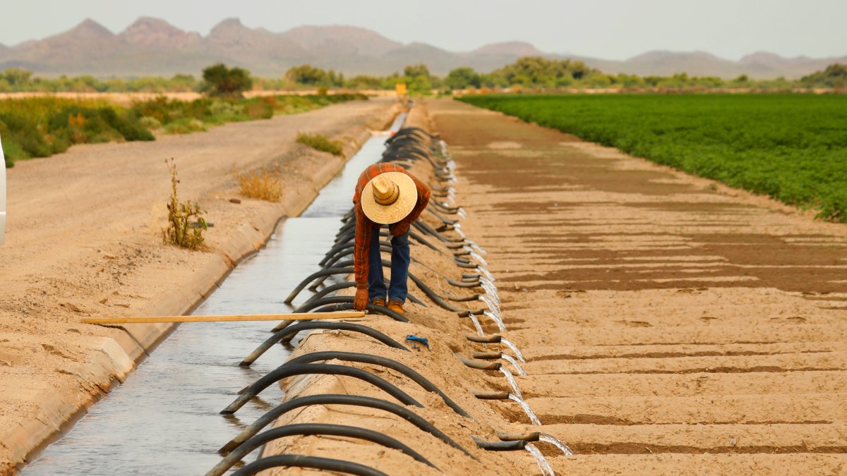 First Required Water Supply Cuts in US West to Hit Ariz. Farmers – NBC4 Washington - Vimarsana News