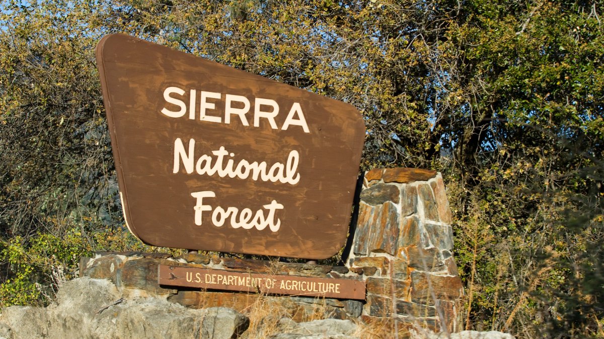 Mariposa Sheriff to Announce What Killed California Family on Hike – NBC4 Washington - Vimarsana News