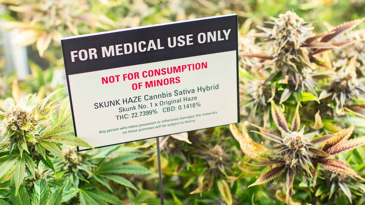 DC Council Votes Against Closing Marijuana 'Gifting' Loophole – NBC4 Washington - Vimarsana News