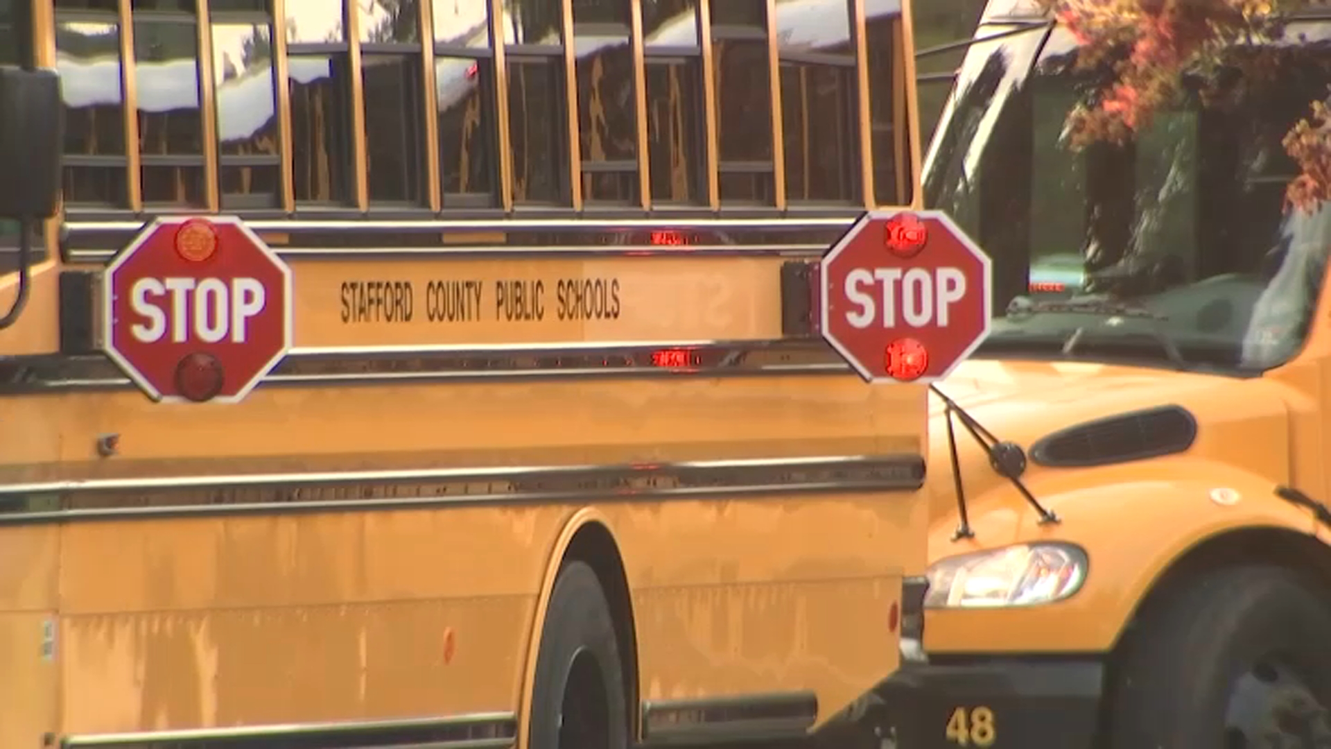 stafford county school bus driver salary