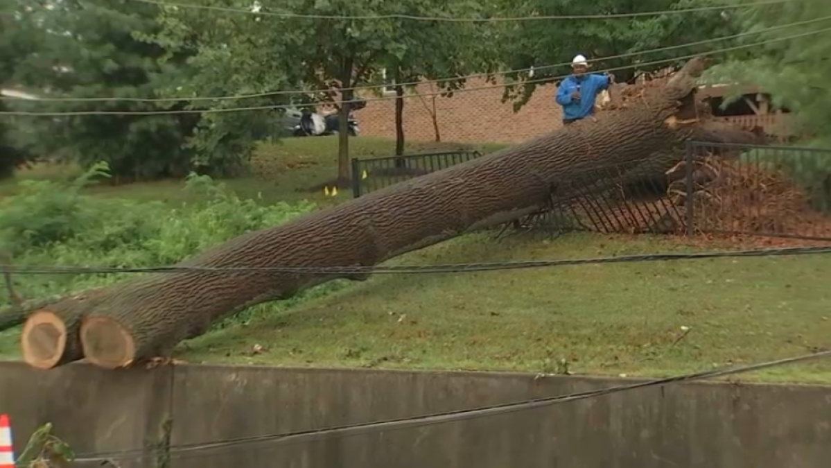 Power Goes Out for Thousands in Fairfax County After Wind, Rain Rock