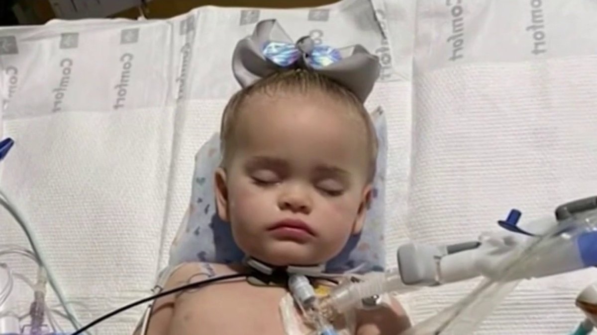 reese-s-law-would-improve-safety-around-lithium-and-button-batteries