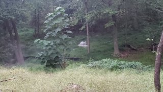 The overflow from a sewer pipe was detected at 2:09 p.m. in a heavily wooded area of Germantown, near 18845 Porterfield Way, WSSC Water said.