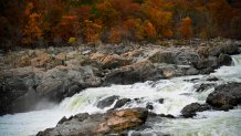 View of the Great falls on the Potomac between Virginia and Maryland as the Autumn season wears its colors taken from Great Falls, Maryland, on November 2, 2018. (Photo by Eric BARADAT / AFP) (Photo credit should read ERIC BARADAT/AFP via Getty Images)