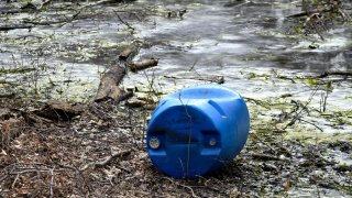 Waste is found dumped at a marsh near the mouth of Neshaminy Creek to the Delaware river