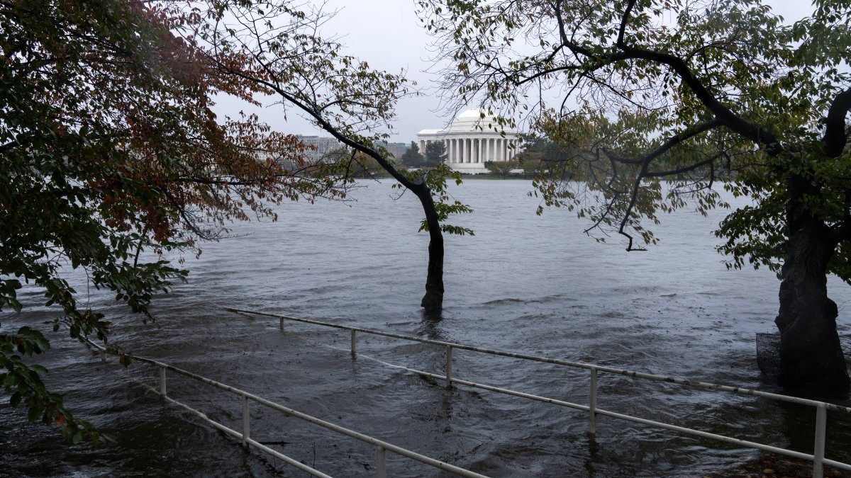 $5.7M to Fund Planning for Tidal Basin Seawall Repairs - Vimarsana News