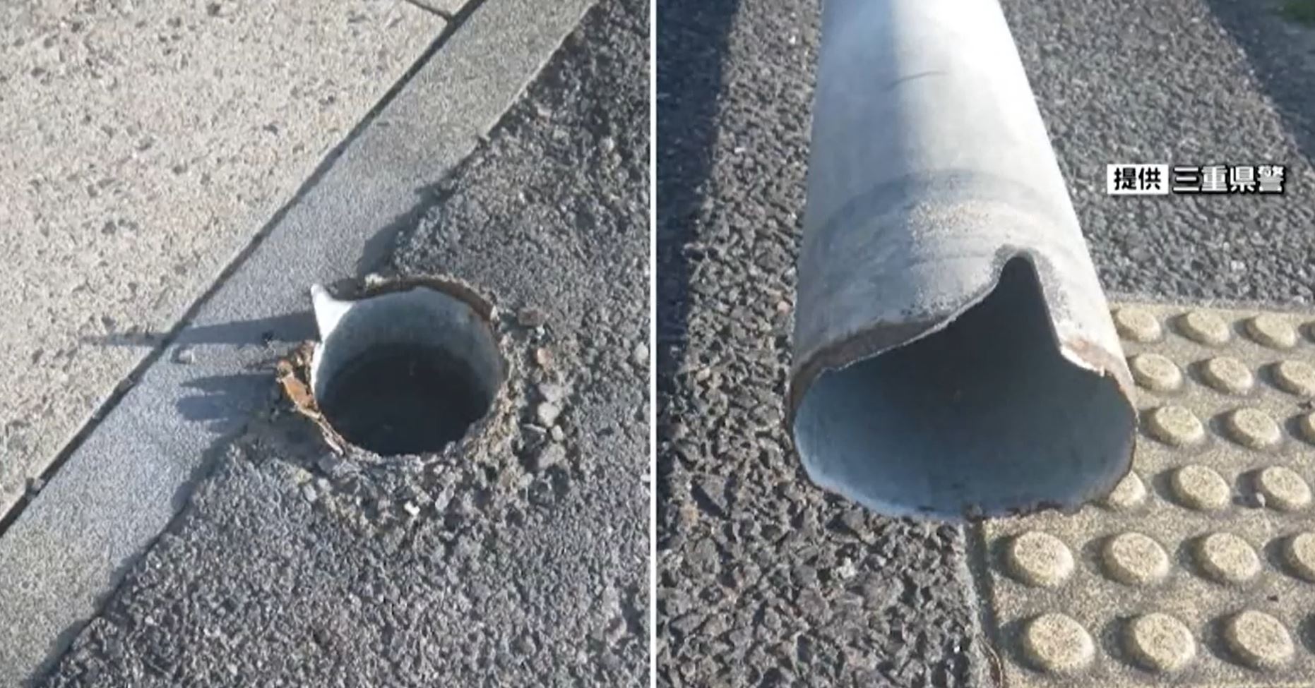 Dog Pee Caused a Traffic Pole to Snap in Japan — and It's Not the
First Time