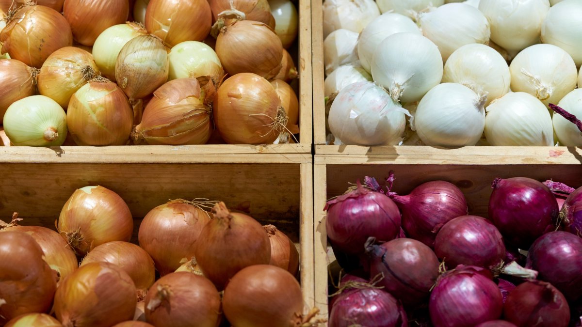 What to Know About Onions Tied to Salmonella in Maryland ...