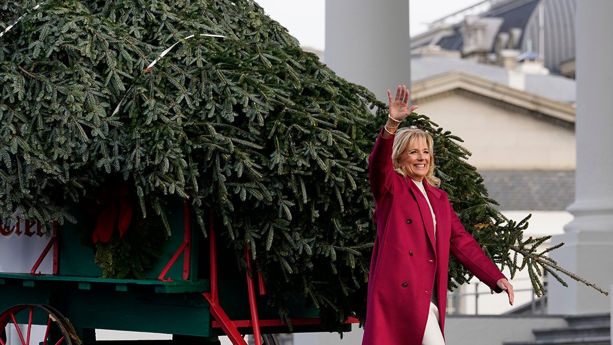 Bidens Open Holidays With Christmas Tree and 'Friendsgiving' – NBC4 Washington - Vimarsana News