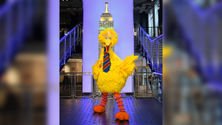 Sesame Street's Big Bird participates in the ceremonial lighting of the Empire State Building in honor of Sesame Street's 50th anniversary on Friday, Nov. 8, 2019, in New York