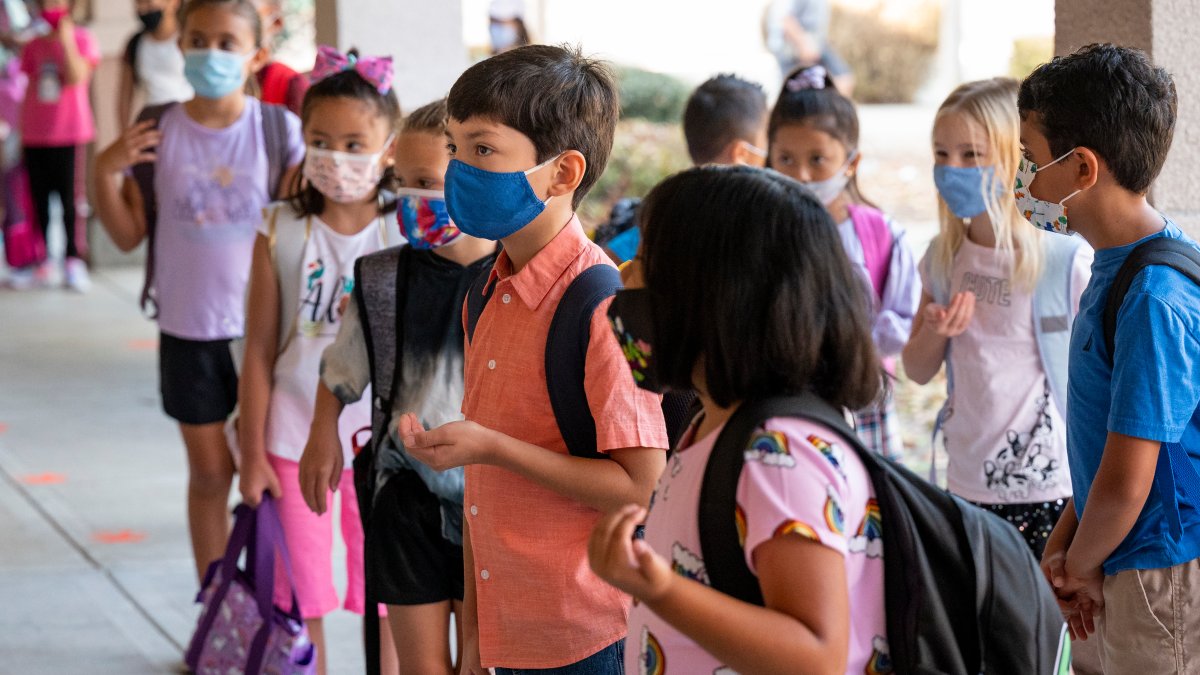 How and Where to Get COVID-19 Vaccines for Kids 5-11 in the DC Area – NBC4 Washington - Vimarsana News