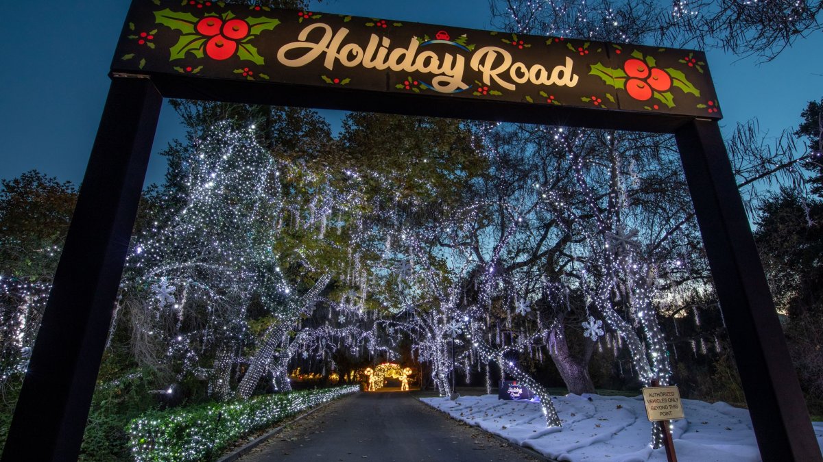 Things to Do in the Washington DC Area Holiday Lights, Events NBC4