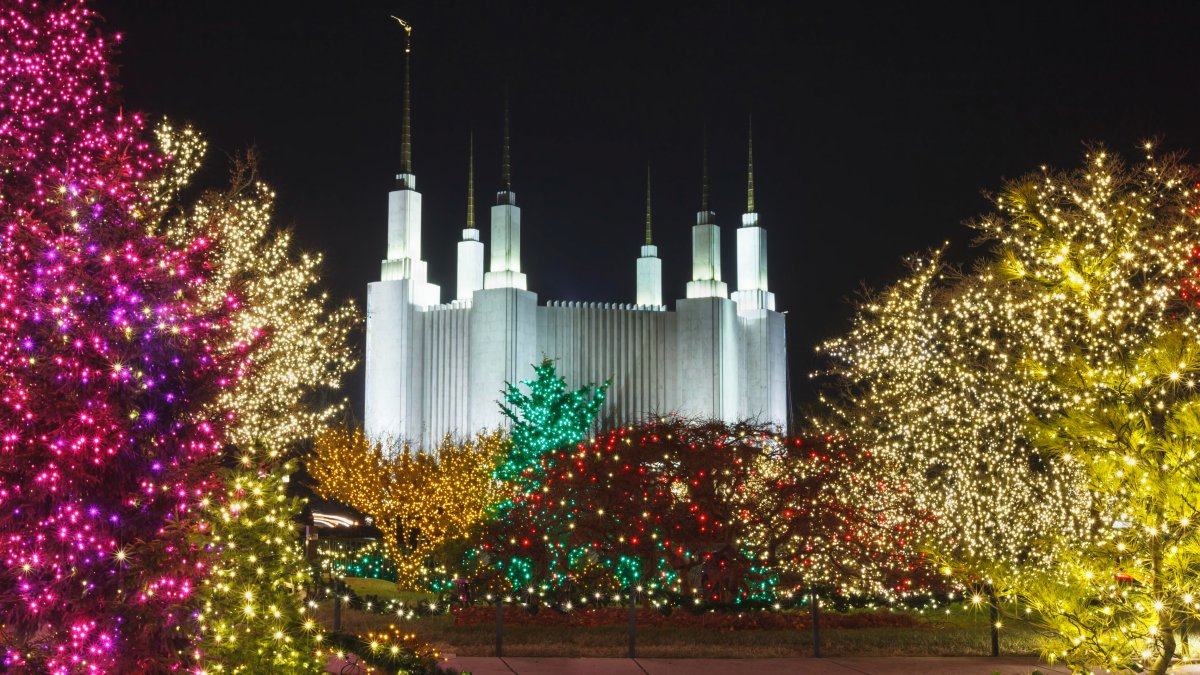 Mormon Temple Cancels This Year’s Festival of Lights NBC4 Washington