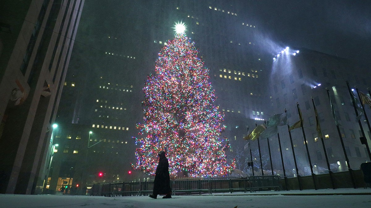 New York bypassed: Rockefeller Center Christmas tree is coming from Maryland