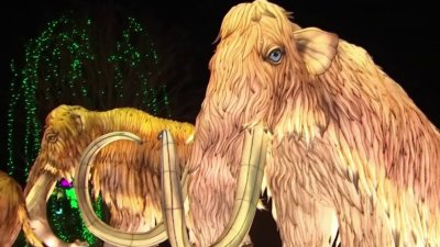 Luminocity Festival Lights Up the Night in Reston – NBC4 Washington Luminocity Festival Lights Up the Night in Reston – NBC4 Washington