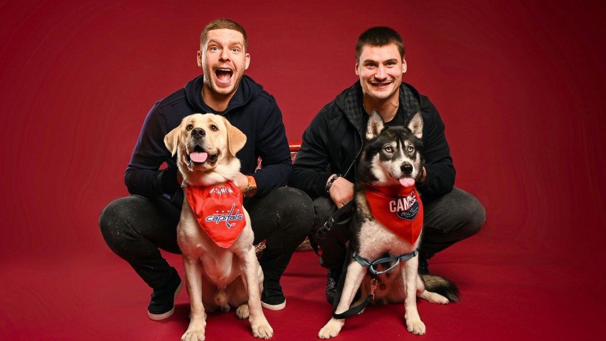Capitals’ 2022 Canine Calendar Is Here and It’s the Perfect Holiday