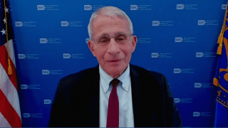 Dr. Anthony Fauci speaks during online COVID-19 press briefing.