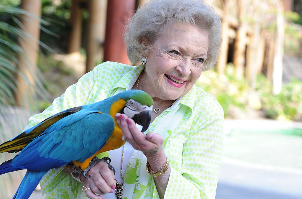 LA Zoo Honors Betty White on Her 100th Birthday – NBC4 Washington - Vimarsana News
