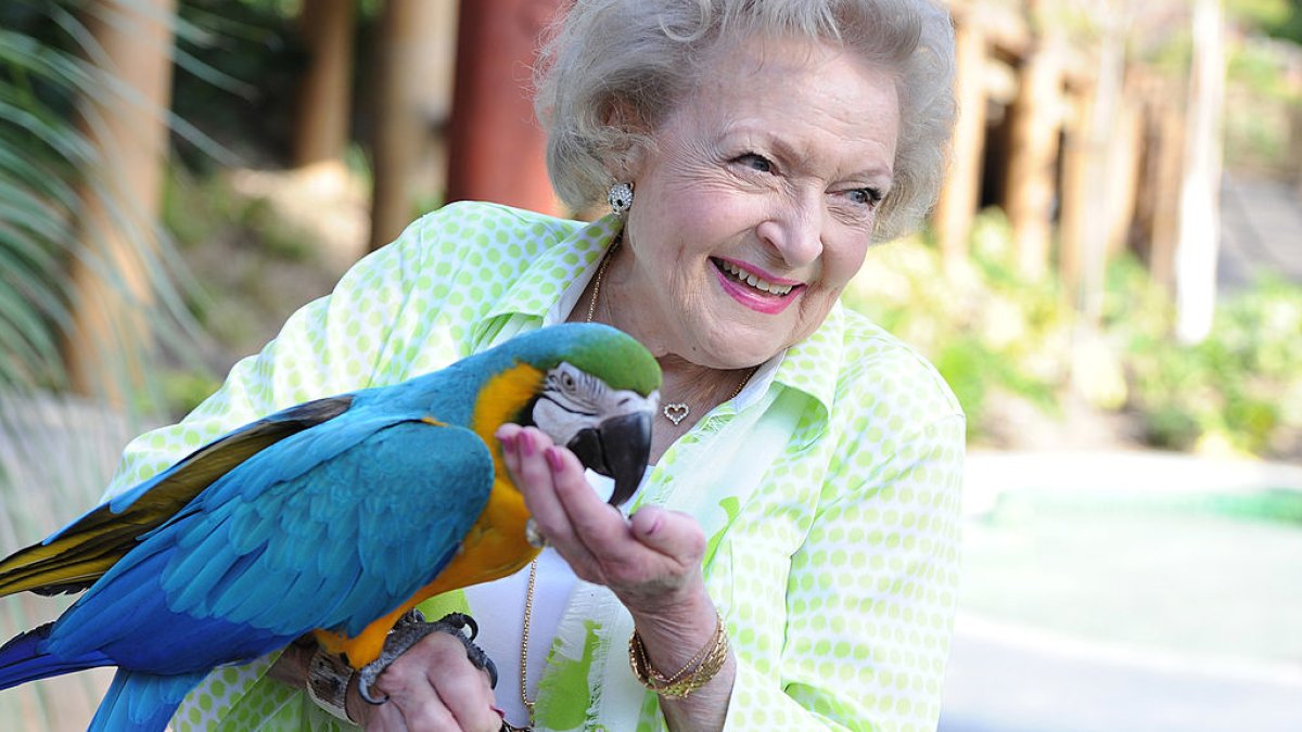 Betty White Wasn’t Just America’s Sweetheart. She Stood Up for Animals