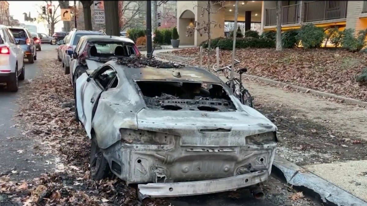 DC Fire Warns Against Parking Over Leaves After Recent Car Fires - Vimarsana News