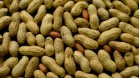 Early Treatment Could Tame Peanut Allergies in Small Kids