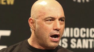 joe rogan