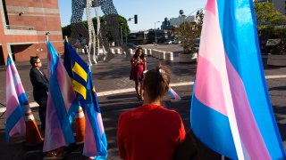 International Transgender Day of Visibility,