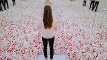 One with Eternity: Yayoi Kusama in the Hirshhorn Collection