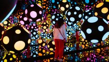 One with Eternity: Yayoi Kusama in the Hirshhorn Collection