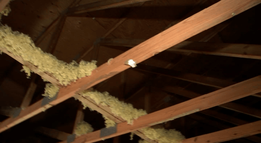 Neighbors Worried for Safety After Ceiling Collapses on Woman in Largo Condos - Vimarsana News