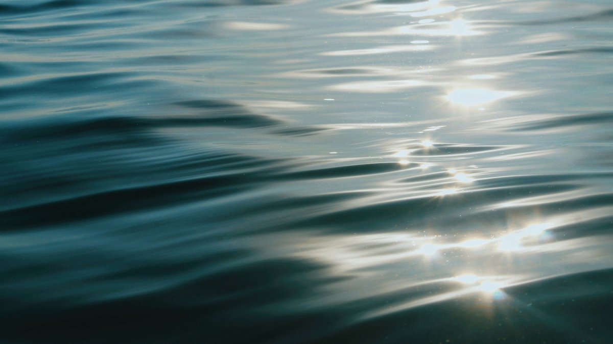 Body Found Believed to Be Teen Missing After Boating Accident - Vimarsana News